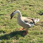 Au Fil De L'eau ゲストハウス グリュポン