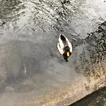ゲストハウス Au Fil De L'eau