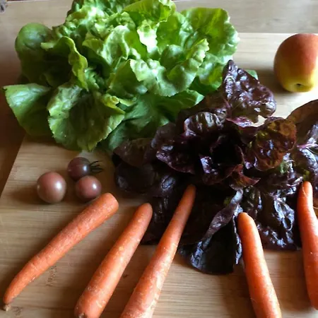 Au Fil De L'eau Maison d'hôtes