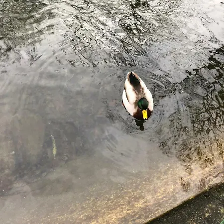 招待所 Au Fil De L'eau
