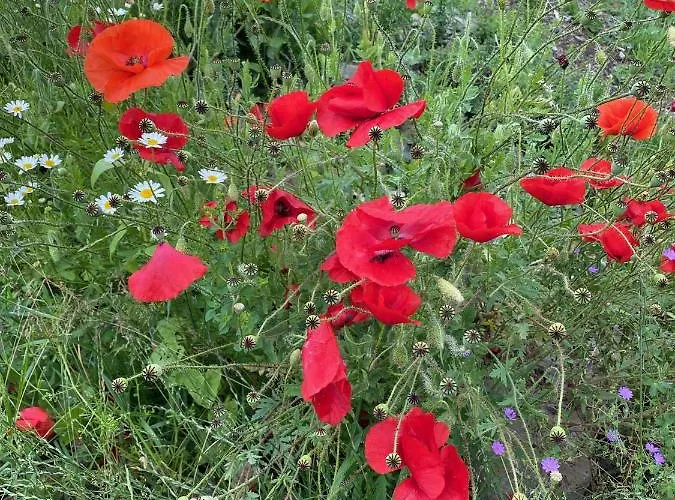 Au Fil De L'eau Guest house Grupont