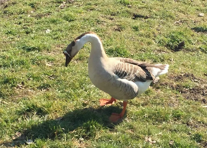 Au Fil De L'eau Guest house Grupont