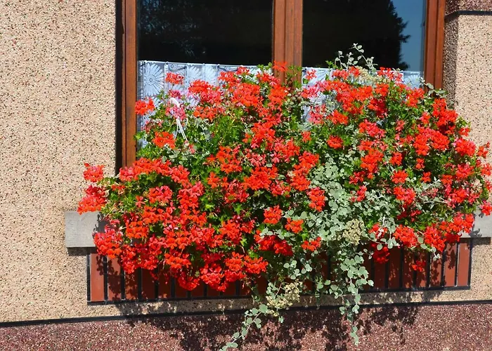 Guest house Au Fil De L'eau 3*