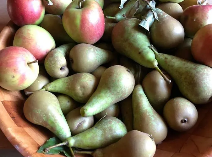 Au Fil De L'eau Guest house 3*