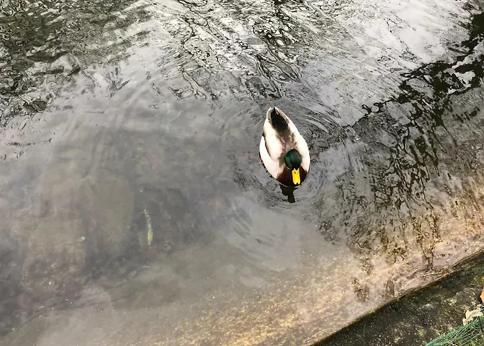 Guest house Au Fil De L'eau