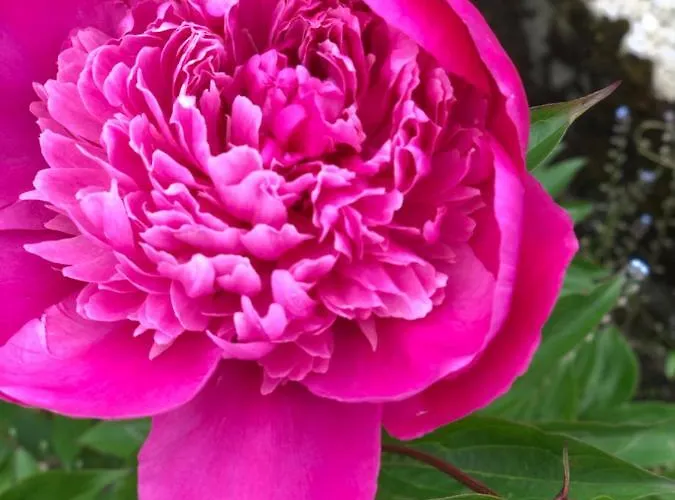 Au Fil De L'eau Grupont