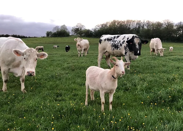 Au Fil De L'eau Guest house 3*